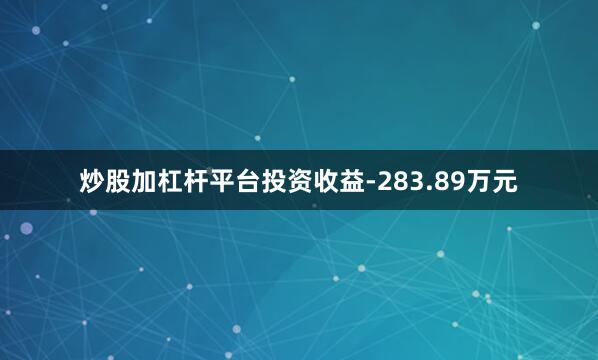 炒股加杠杆平台投资收益-283.89万元