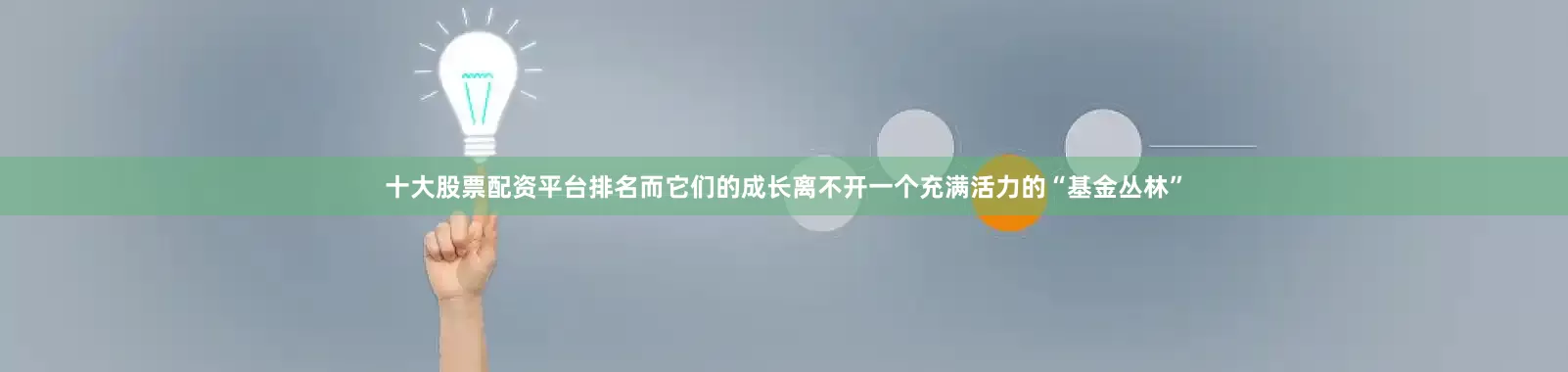 十大股票配资平台排名而它们的成长离不开一个充满活力的“基金丛林”