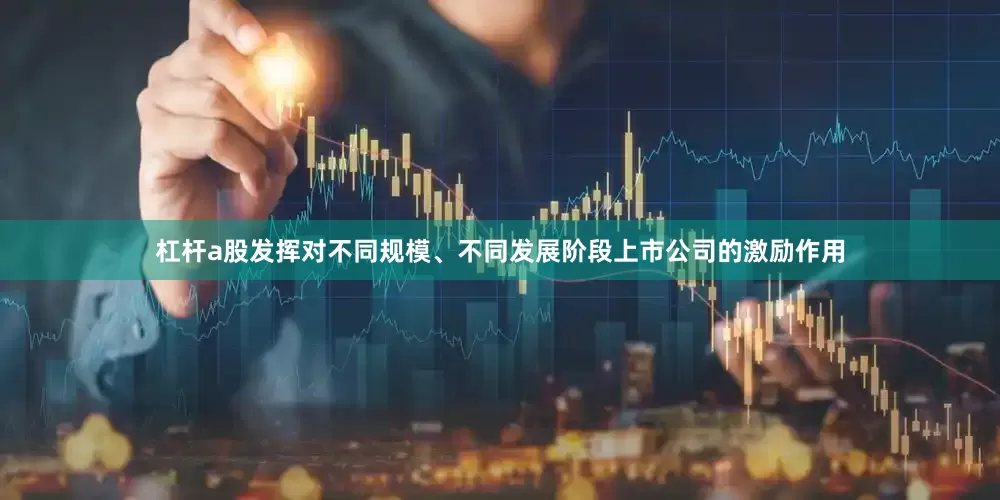 杠杆a股发挥对不同规模、不同发展阶段上市公司的激励作用